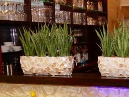 Foto: Troja Bad Breisig